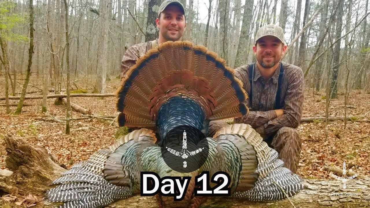 TURKEY HUNTING THE ALABAMA HARDWOODS_ EARLY SEASON PUBLIC LAND GOBBLERS- Pinhoti Project Day 12
