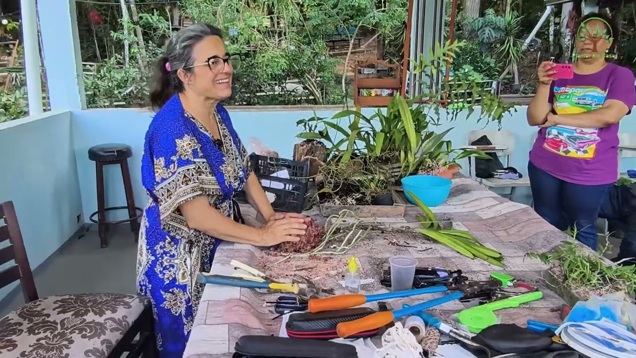 Orquideas Dicas e Cuidados com Katia Orquidário Sábia 1