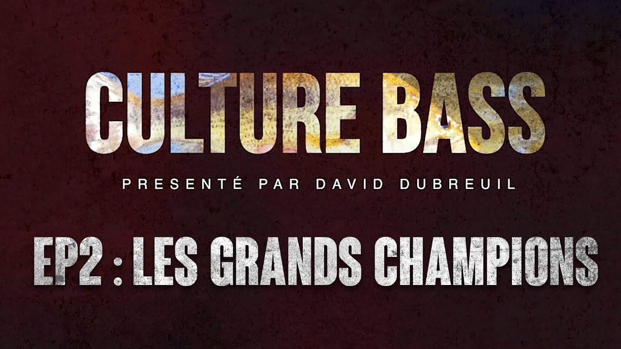 CULTURE BASS // EP 2: Les Grands Champions - David Dubreuil 🎙