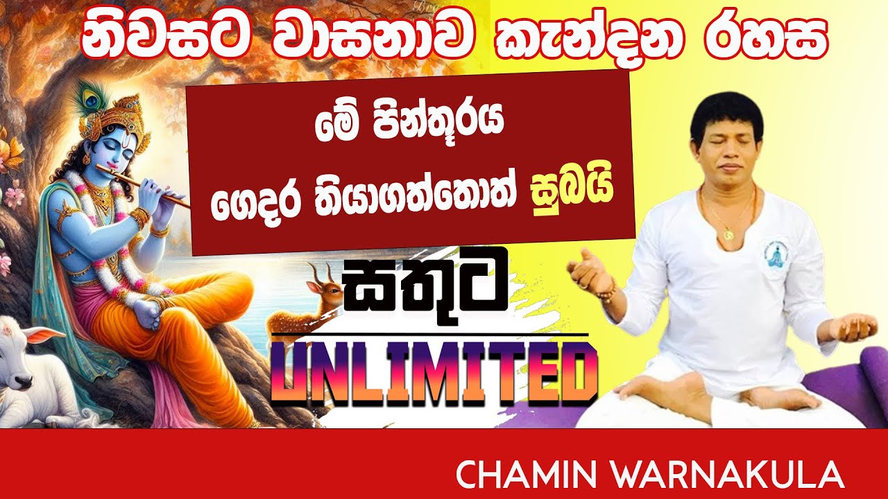 නිවසට වාසනාව කැන්දන ක්‍රිෂ්ණ දෙවියන්ගේ පින්තූරයක් | Dr Chamin Warnakula | NETH FM UNLIMITED SATHUTA