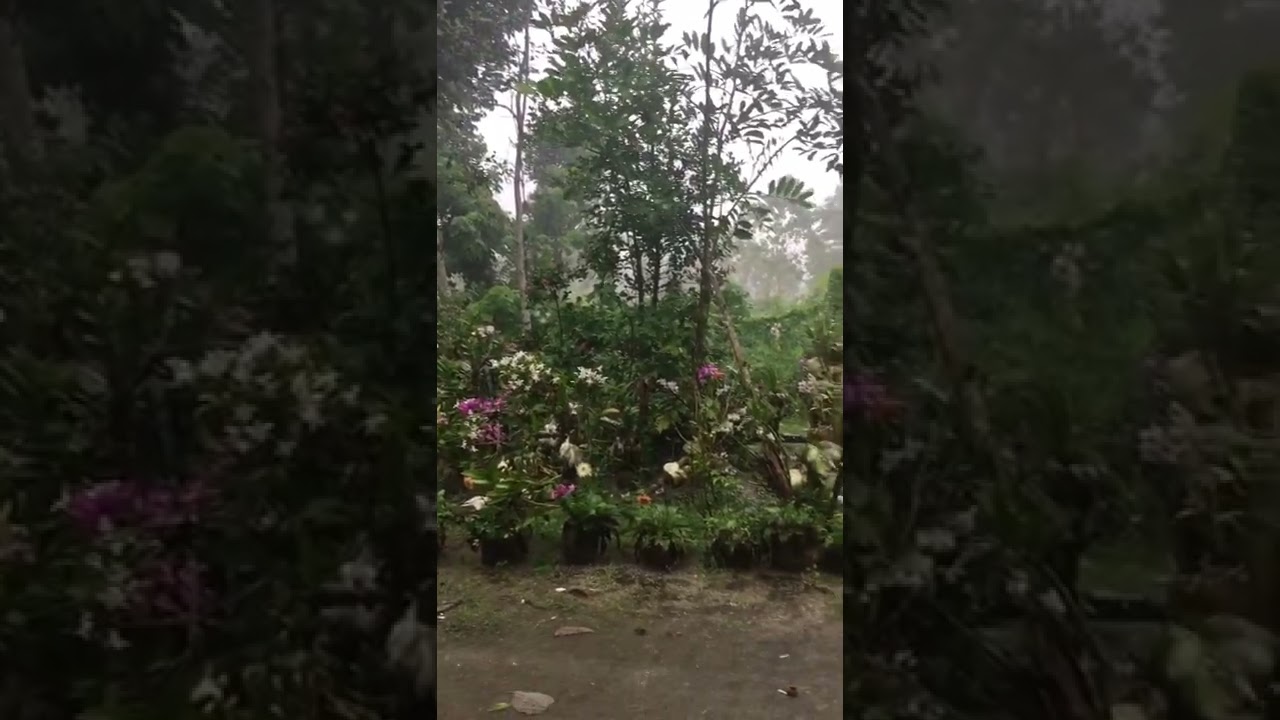 TYPHOON PAENG HITS IN AKLAN, ANTIQUE, NEGROS, GUIMARAS, ILOILO, ROXAS, PHILIPPINES 🇵🇭 | #shorts