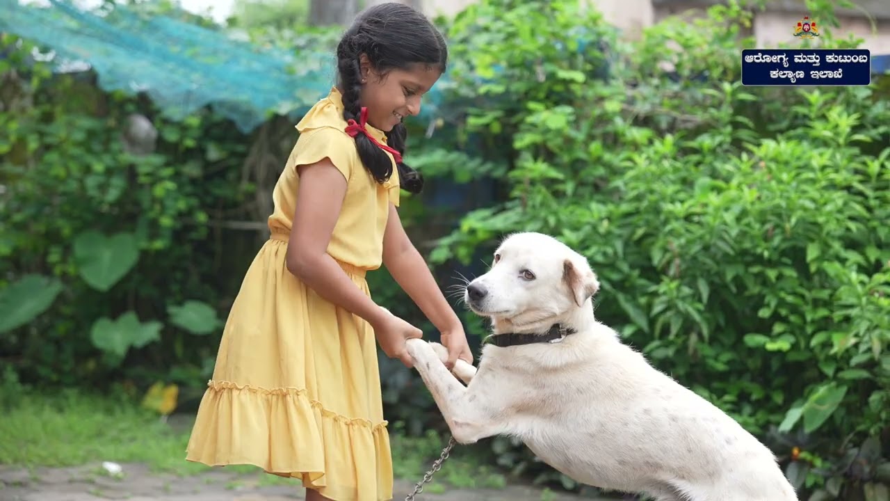 National Rabies control programme (NRCP). Explained in kannada @ Dr sudharshan M K . HIGH MORTALITY.