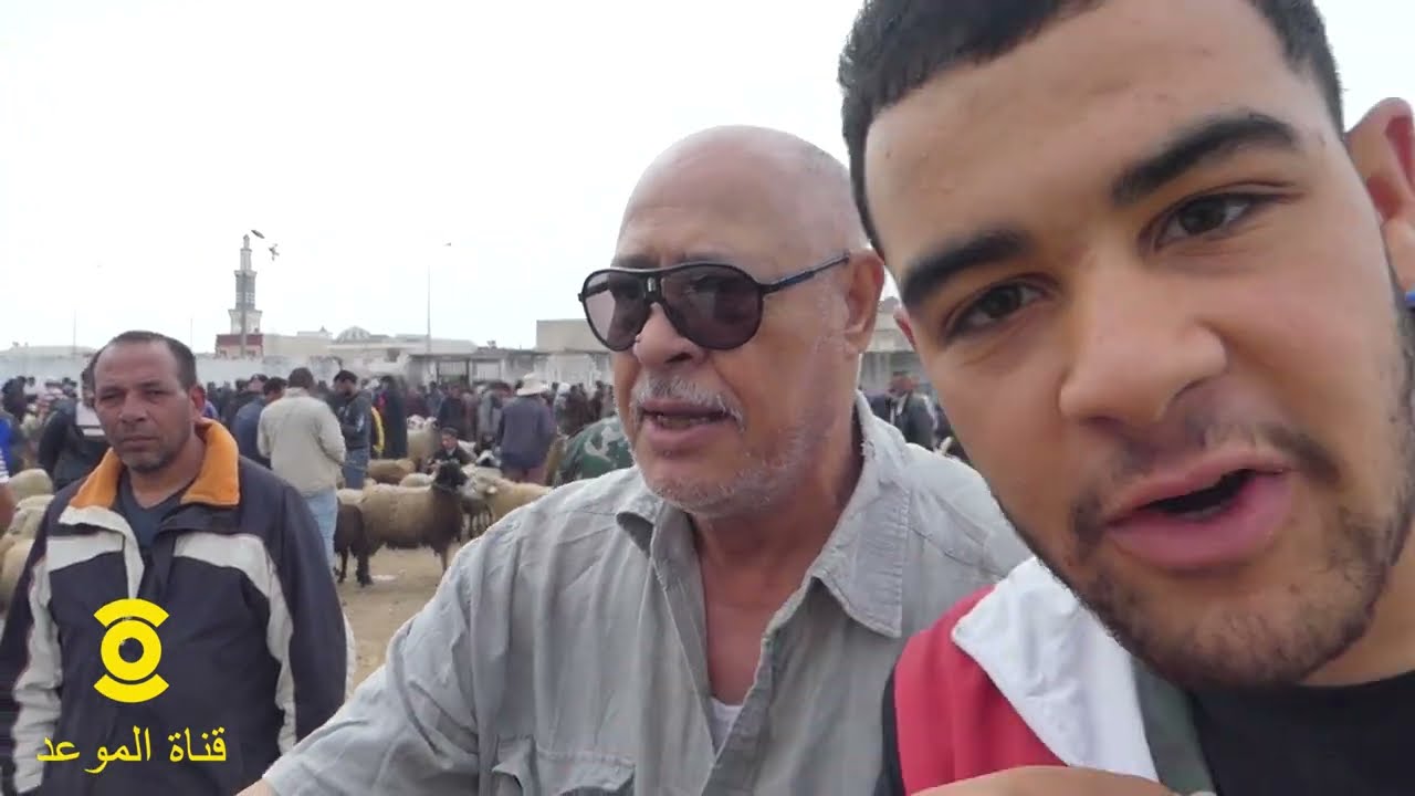 غشوني في العلوش شريتو قريب المليون و نص و بعد يطلع كلو شحم ، يعلفو فيه في الخبز