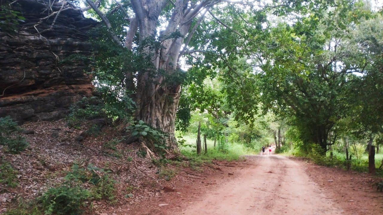 A natureza revela seus mistérios.#Caminhada.