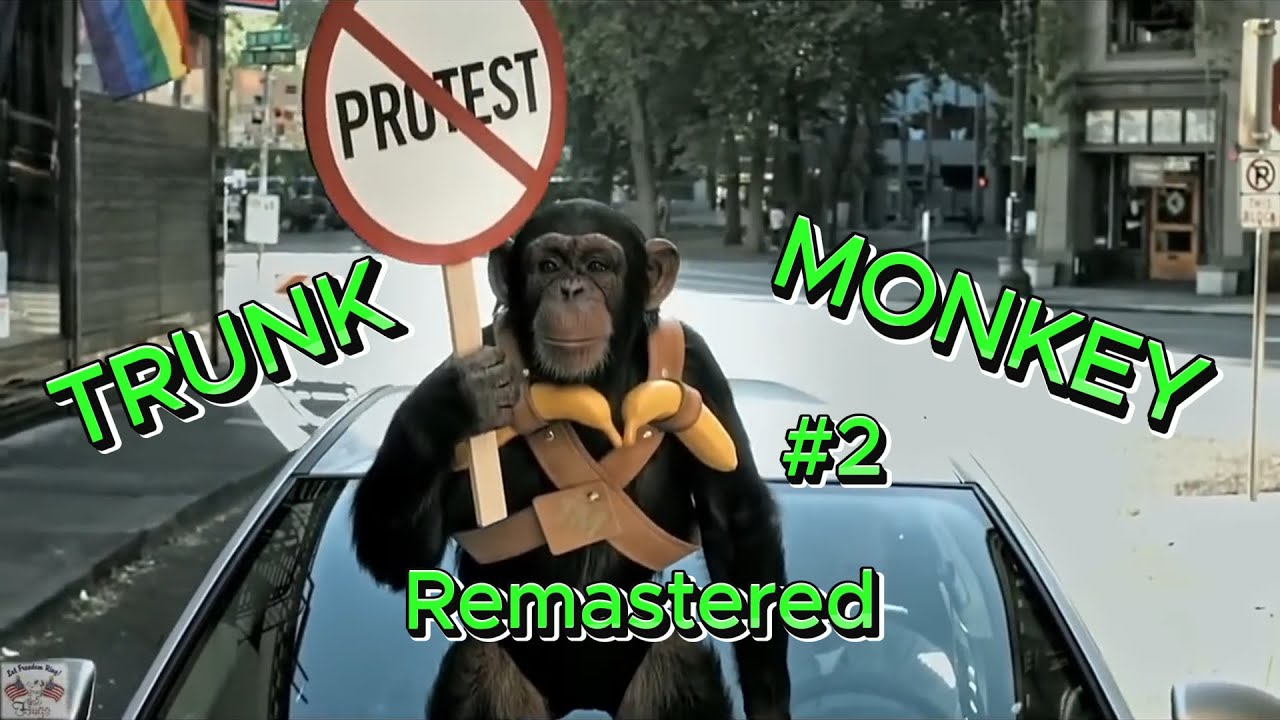 Trunk Monkey the best Top 5 favorites Commercials