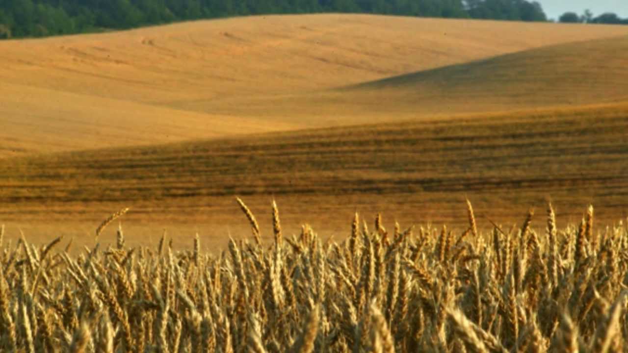 Вълкана Стоянова-Натвари Стоян,Стояне