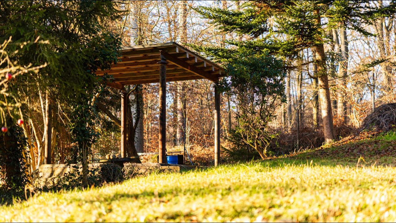 Wohnen am Waldrand - Ruhiges Domizil am Hahnheider Naturschutzgebiet [Jablonka Immobilien]