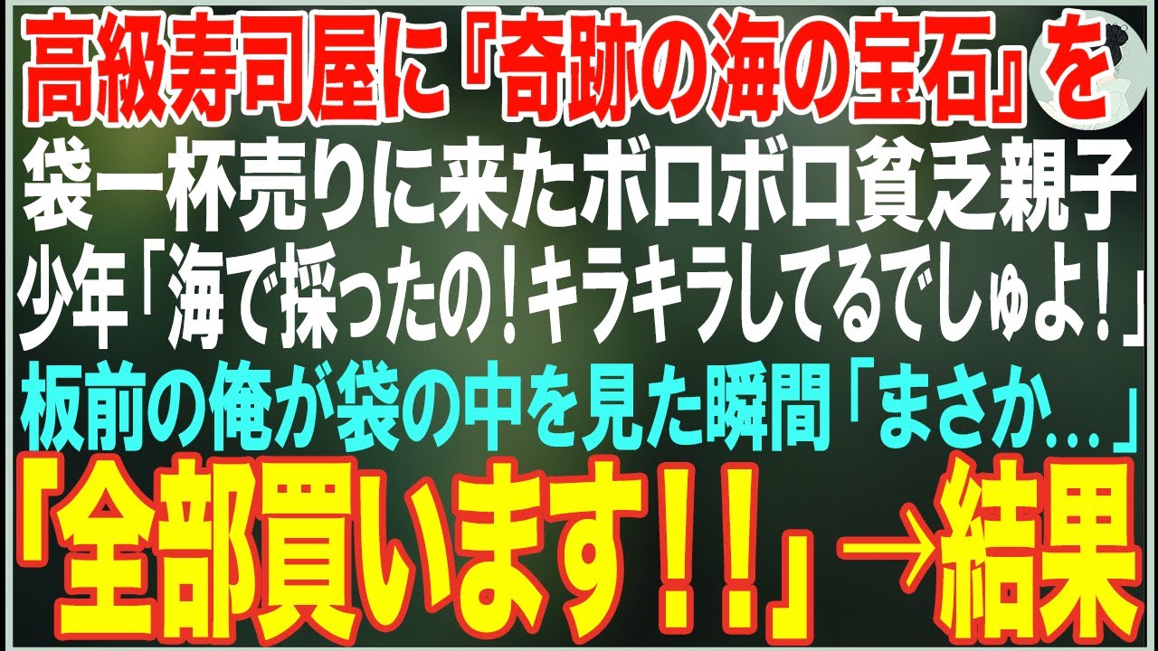 【感動する話】高級寿司屋に『奇跡の海の宝石』を持って来たボロボロ貧乏親子「海で採ったの！キラキラしてるでしゅよ！」→板前の俺が袋の中を見た瞬間、即決で全部買い取った結果【朗読・スカッと・泣ける話】