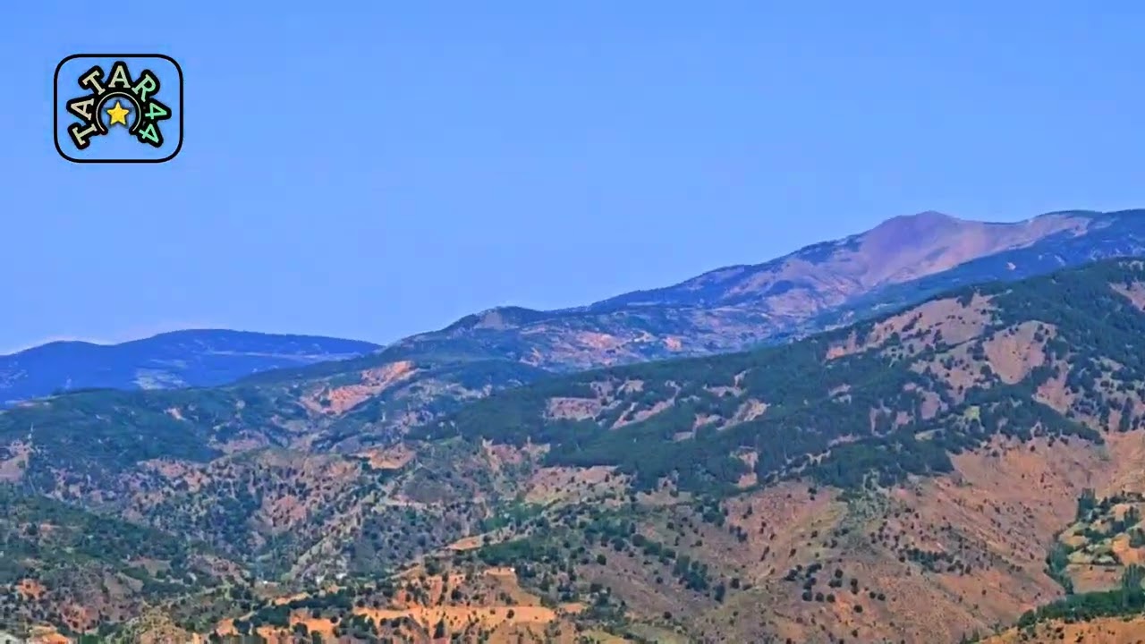 Kaldım Çaresiz 