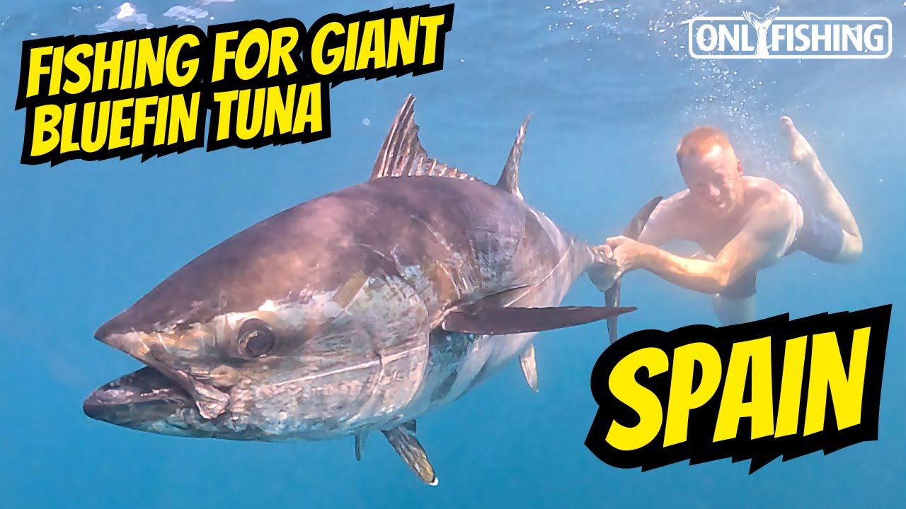 Giant Bluefin Tuna Fishing in Spain – Epic Big Game Adventure!
