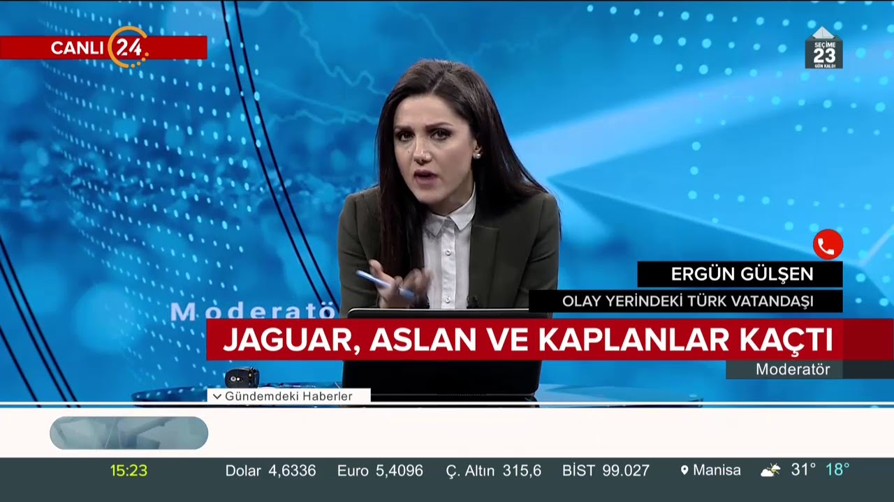 Almanya'da 2 aslan, 2 kaplan ve 1 jaguar hayvanat bahçesinden kaçtı