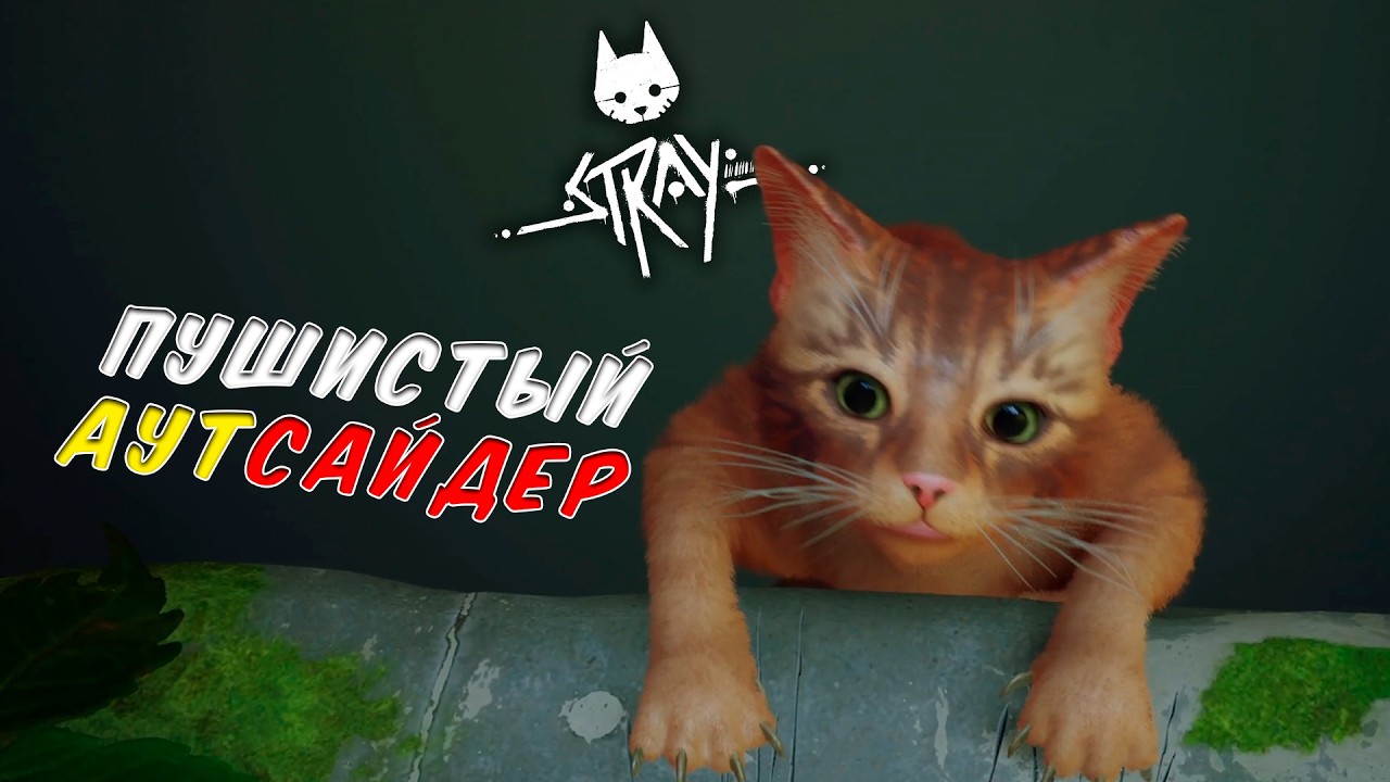 ПУШИСТЫЙ АУТСАЙДЕР  ► Stray #1