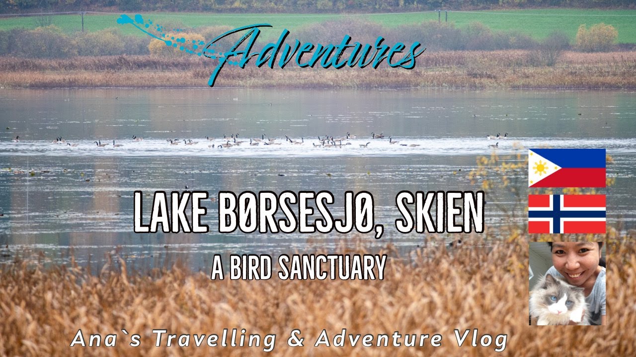 Exploring Lake B&oslash;rsesj&oslash; in Skien, Norway