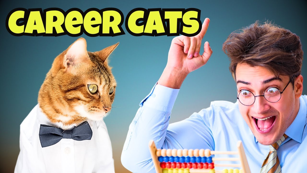 11 Cat Breeds Matched to Their Ideal Human Jobs