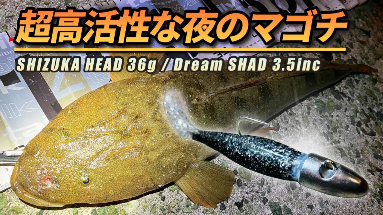【マゴチ釣り】夜釣りでマゴチが連発します【フラットフィッシュ】