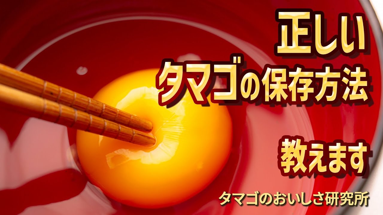 【専門家が教える】タマゴの正しい保存方法！上下どっち向きが正解？～ぎゅっと！タマゴ～
