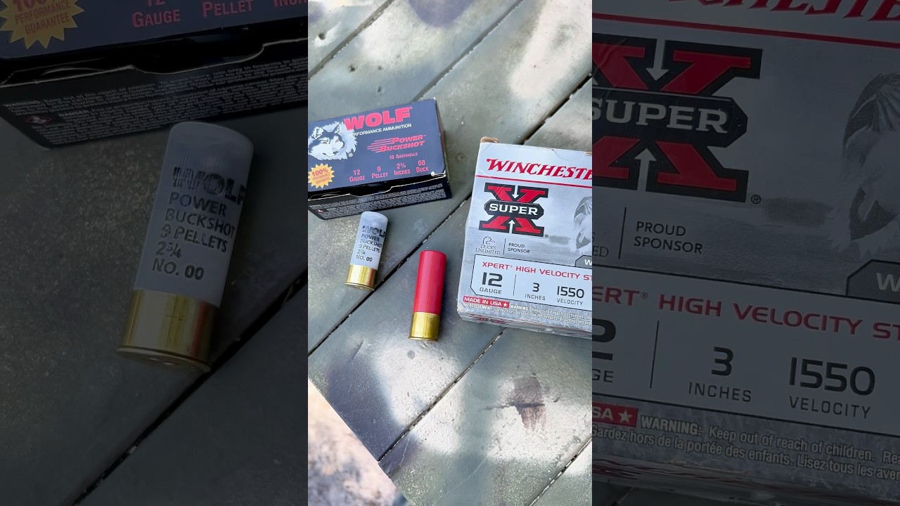 Buckshot vs. Birdshot