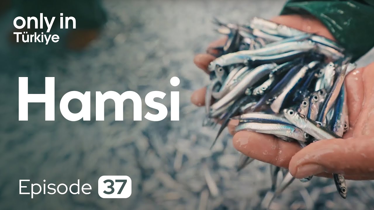 A Culture and Cuisine Built on Hamsi