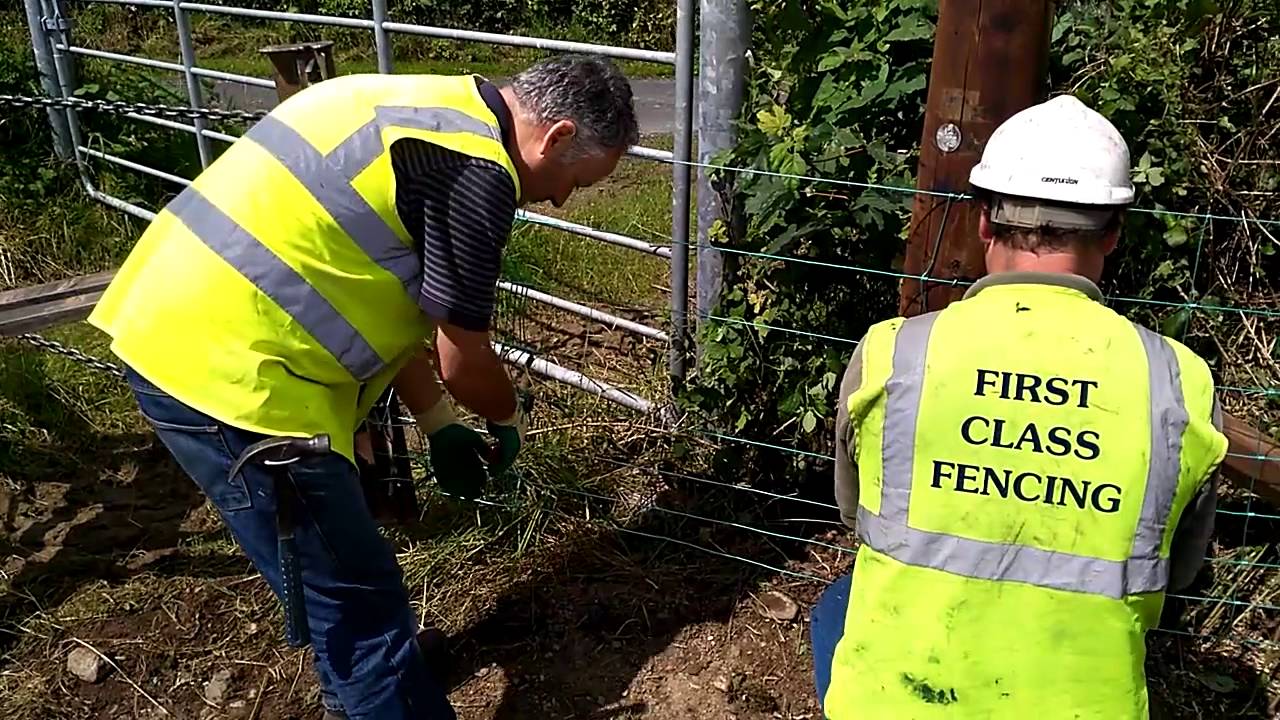 Sheep fencing suitable for TAMS II scheme