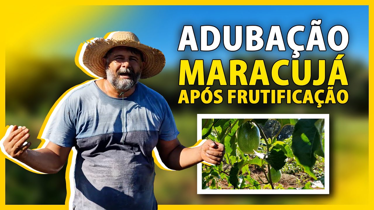 Adubação no maracujá após iniciar produção