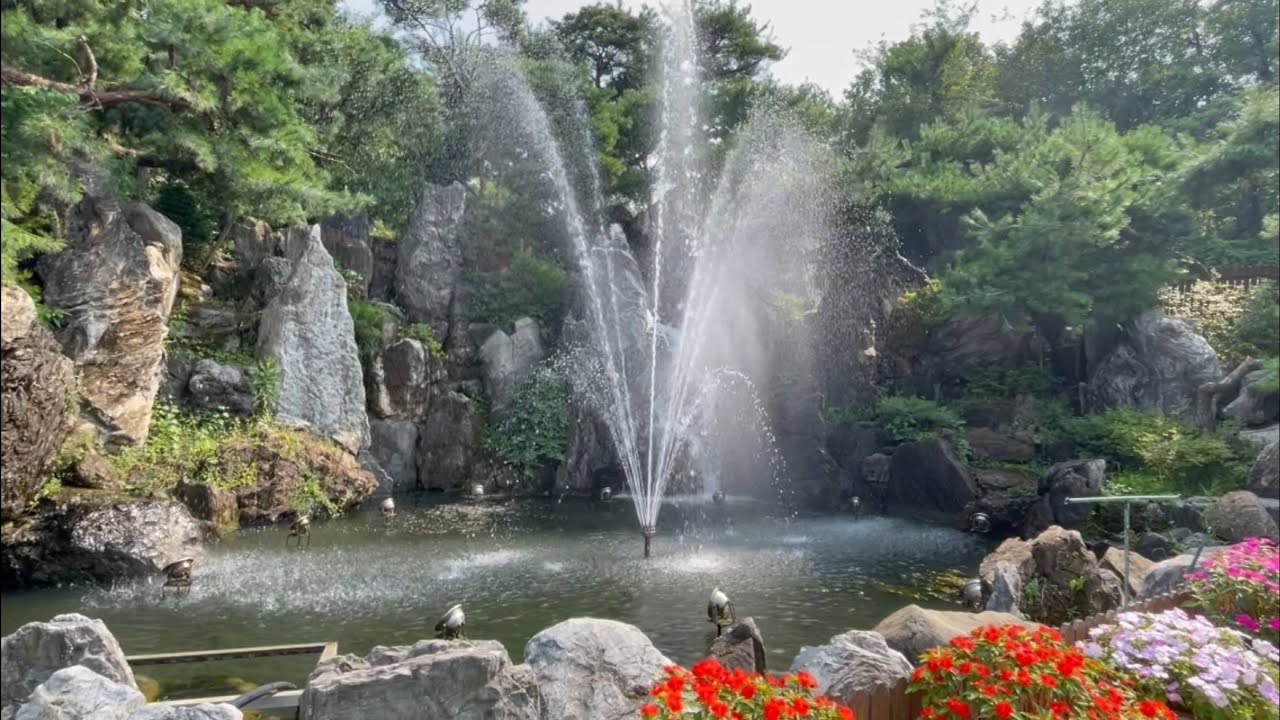 지금이 가장 젊은 날 —- 신충순 자작곡 with suno