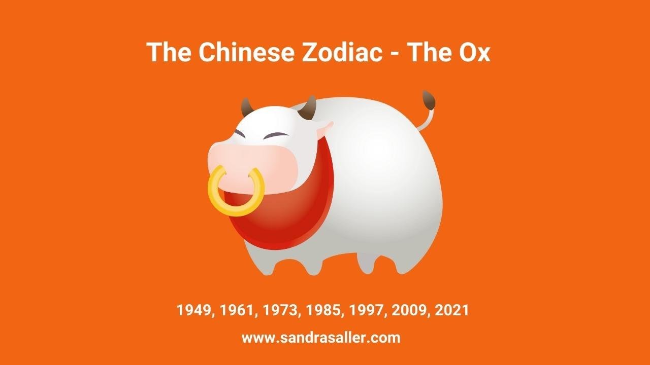 The Yin Earth Ox - Chinese Astrology Explained