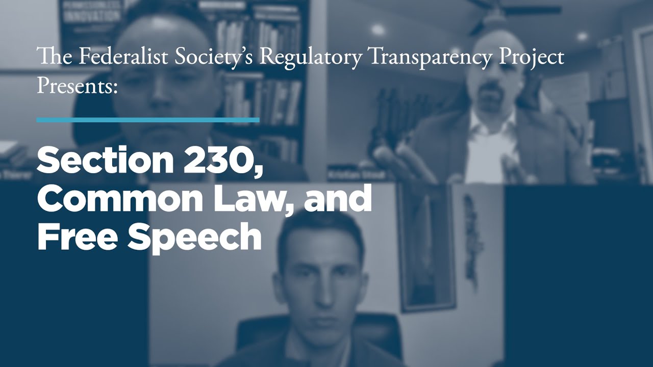 Section 230, Common Law, and Free Speech