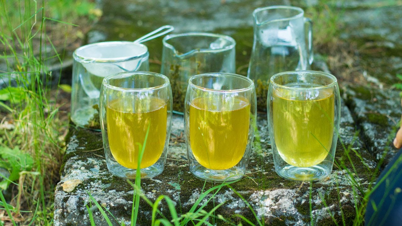 Ile czasu można robić przerwy między parzeniami herbaty? Czy warto parzyć liście po 12h w lodówce?