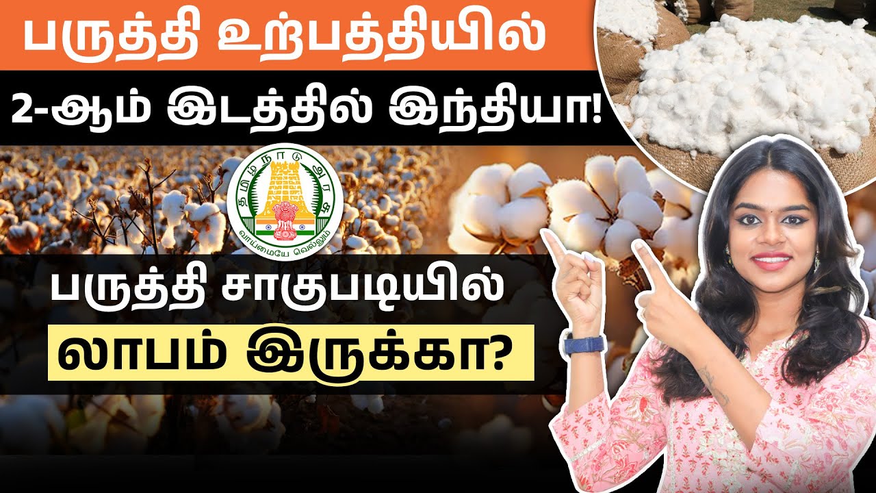 தமிழ்நாட்டில் பருத்தி விவசாயம் – லாபமா? | Cotton Farming in Tamil – Profit, Yield & Secrets!