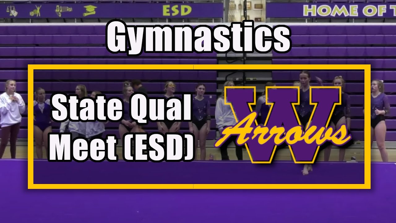 Gymnastics - State Qualifier Meet