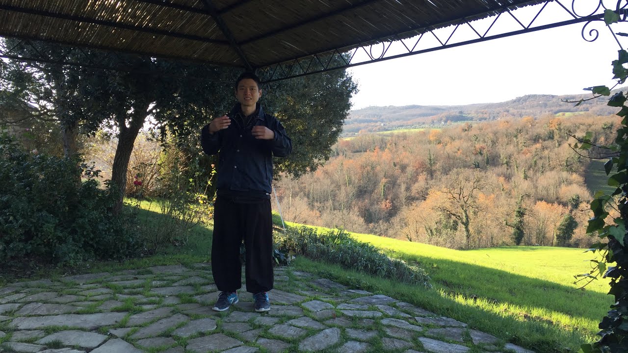 解決腰酸背痛人生的根本方法，談林兩傳老師的書《身體的立體結構網絡》