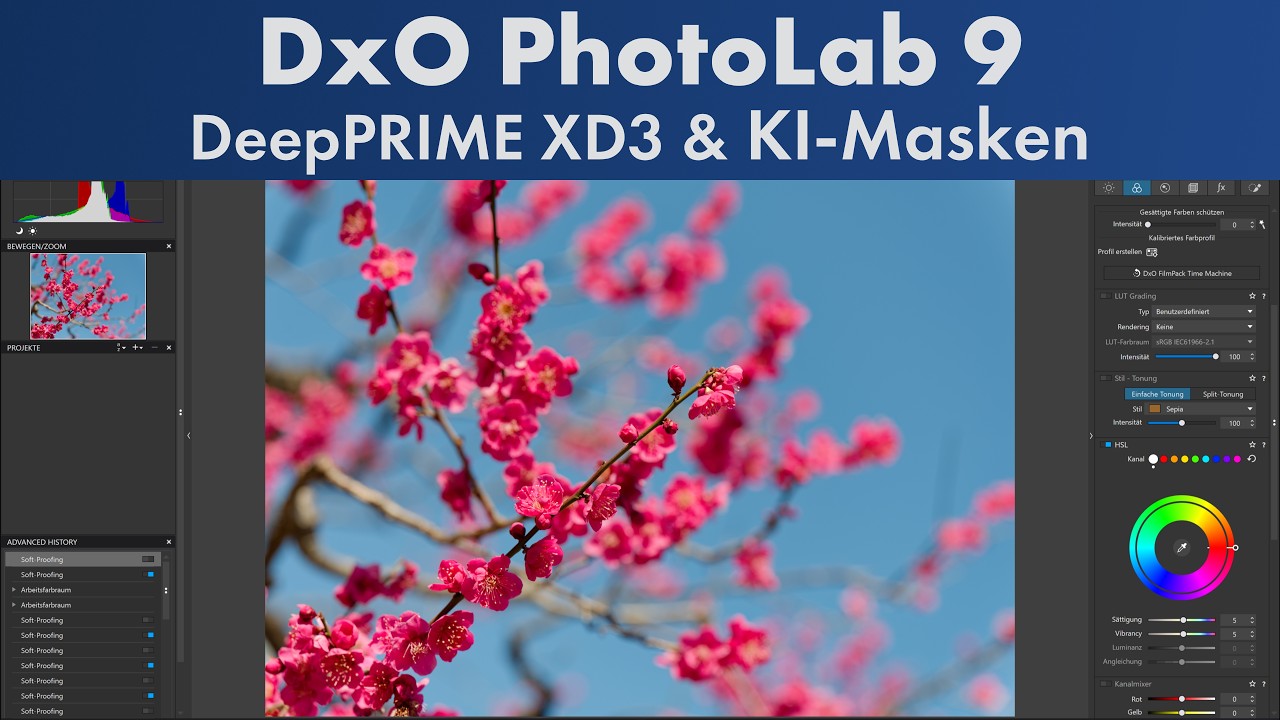 DeepPRIME XD3 für Bayer-Sensoren u.v.m. | DxO PhotoLab 9.6 im Test [Deutsch]