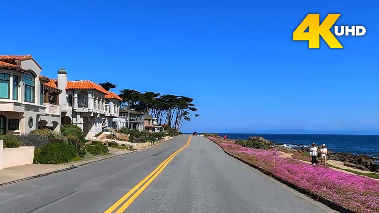 Pacific Grove California 4K Driving Tour | Ocean View Boulevard, Magic Purple Carpet & Lovers Point