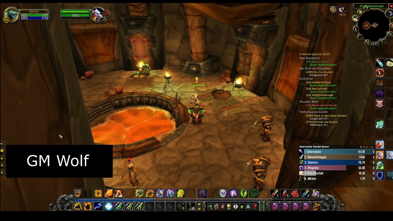 Ruf des Wassers Teil 1 | call of the water | Schamanen Quest | GM Wolf | World of Warcraft Classic |