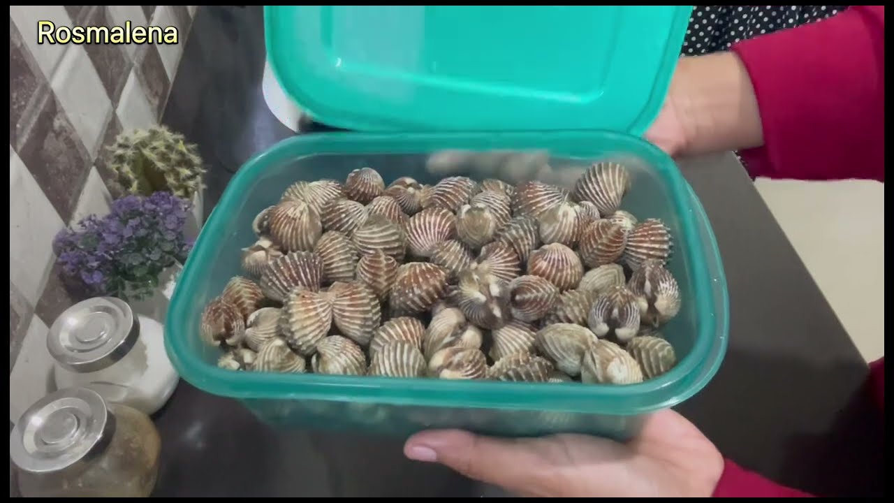 CARA MENYIMPAN KERANG AGAR TETAP SEGAR DAN TAHAN LAMA