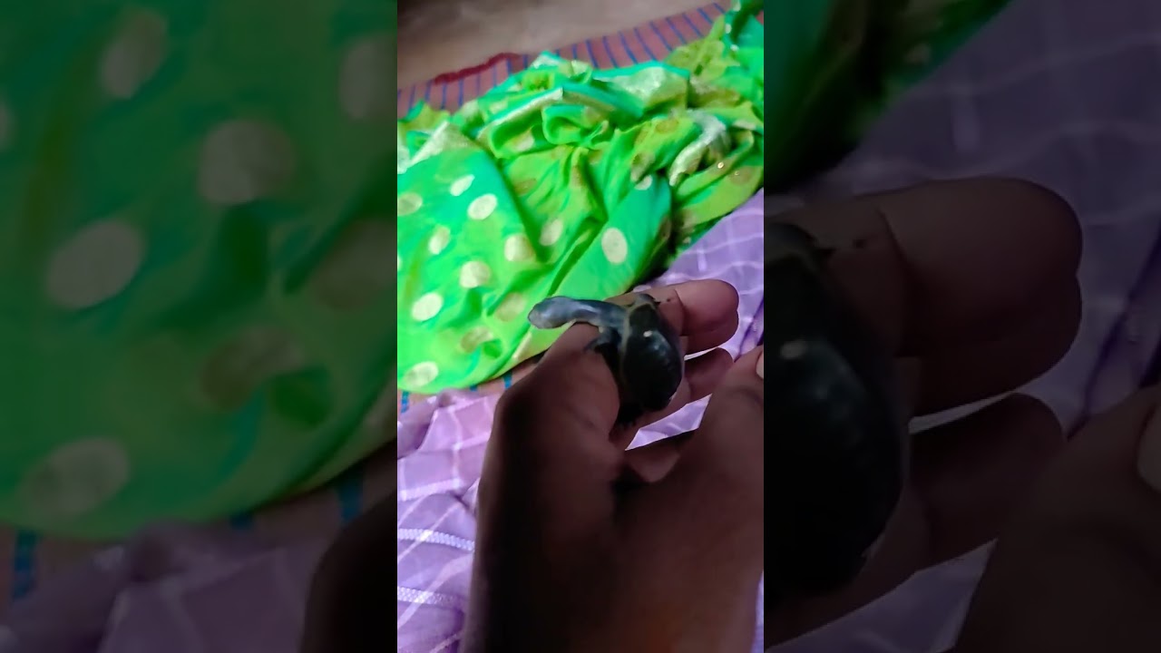 हर जख्म दिल का तुझे दिल से दुआ