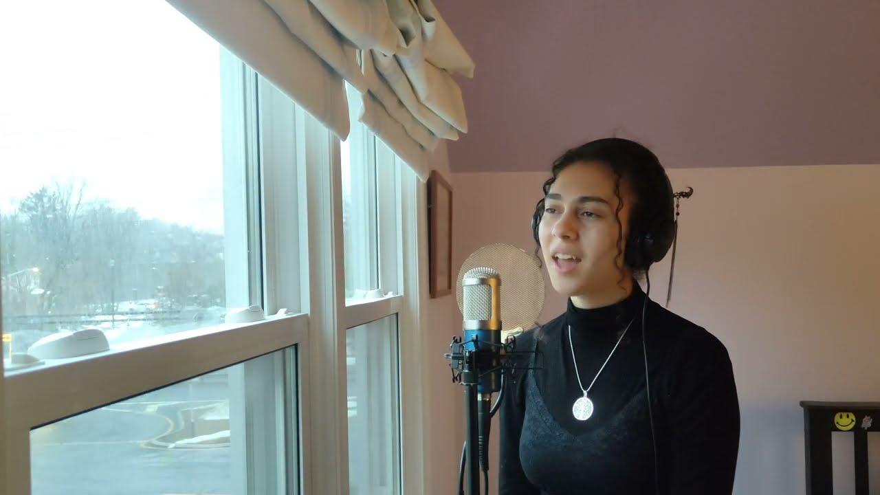 When the Party's Over - Billie Eilish | LukaLuka Cover