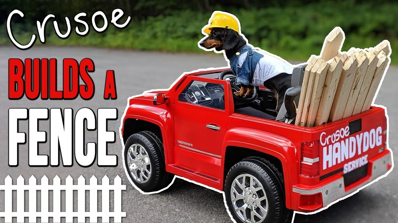 Ep 33: Crusoe the HANDYDOG Builds a Fence