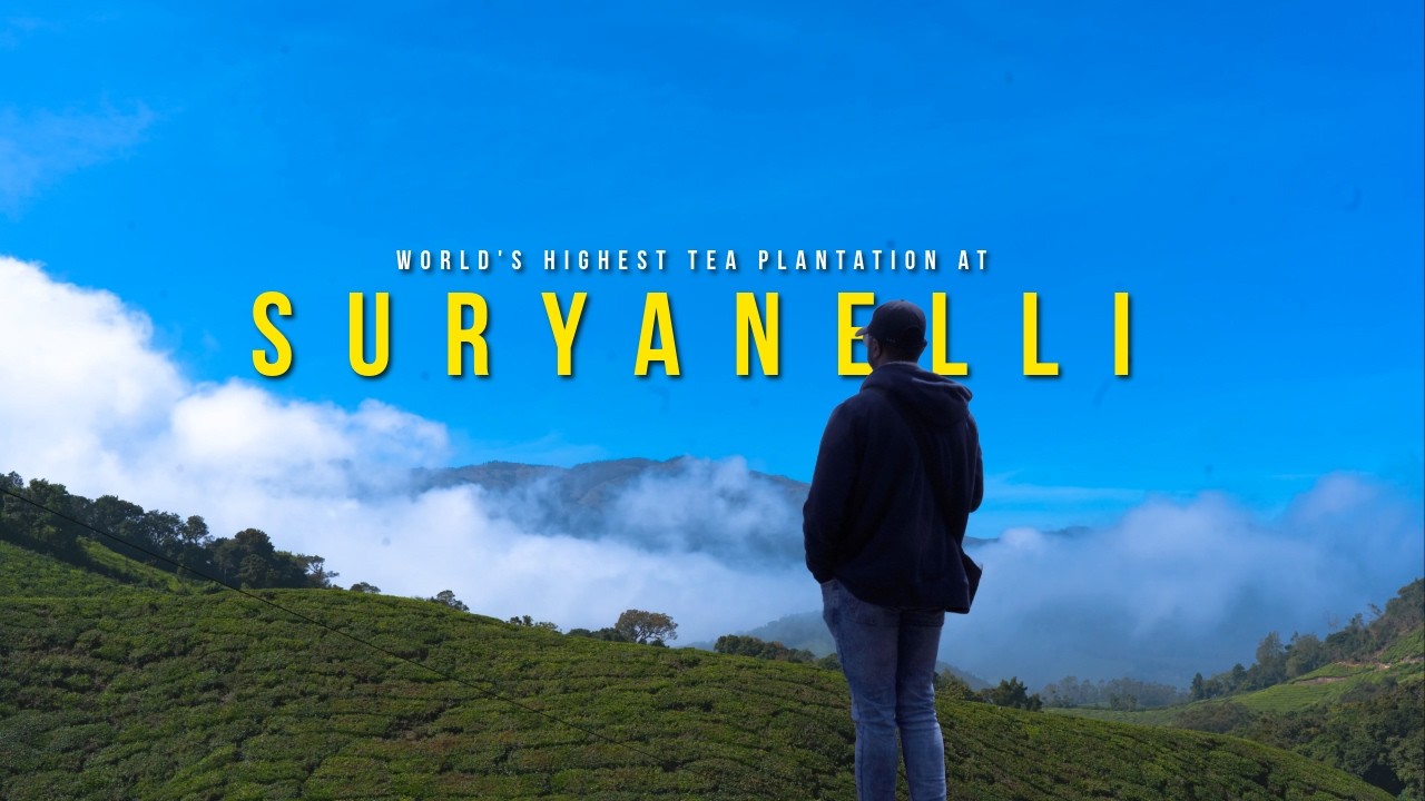 I visited to the World's Highest Tea Plantation at Kerala  - Suryanelli and Kolukkumalai