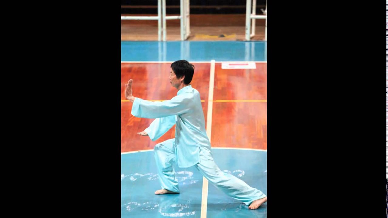 Pesaro 2015 M&deg; Bao Lan