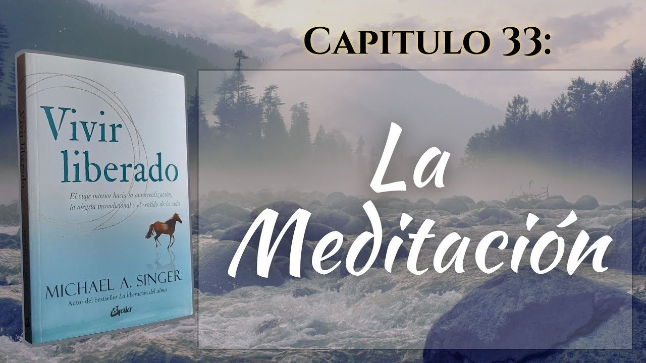 Vivir Liberado - Michael Singer - Audiolibro - Capitulo 33 - La meditacion
