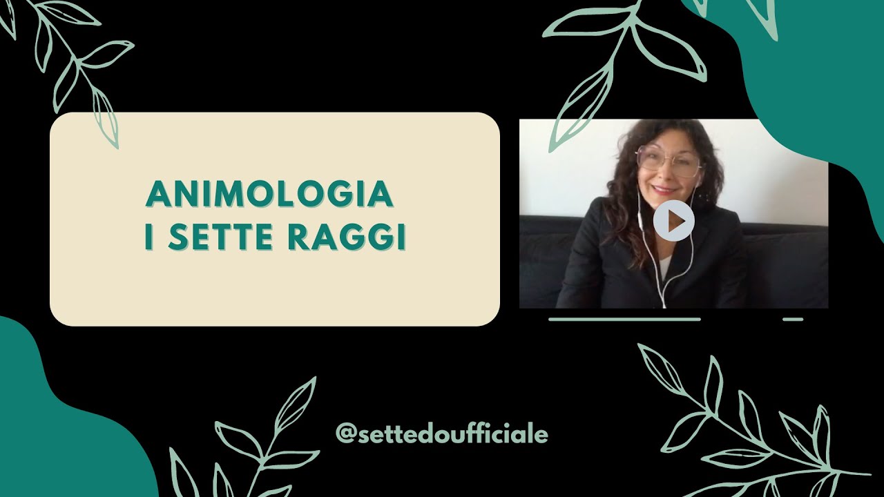 Animologia i sette raggi