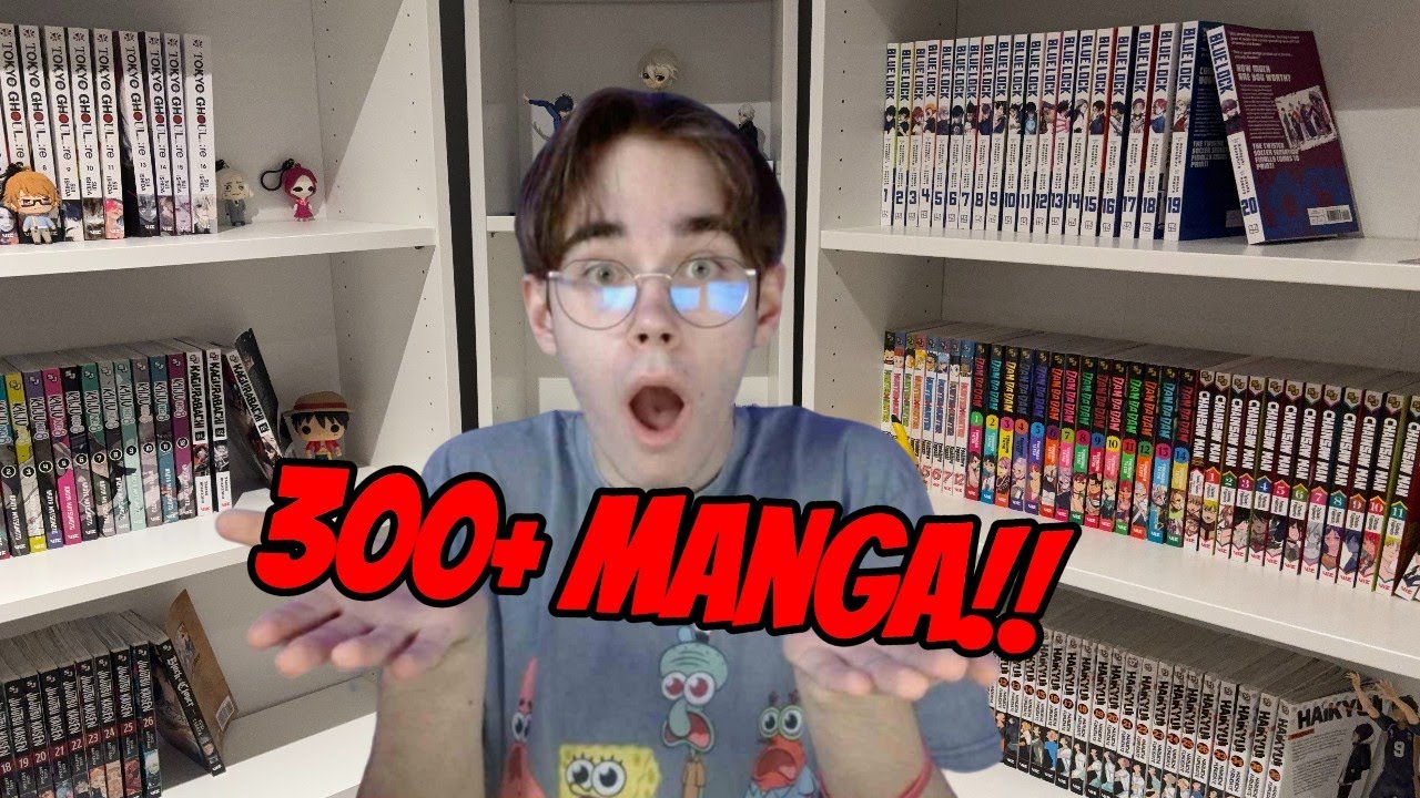 Reorganizing My 300+ MANGA Collection!