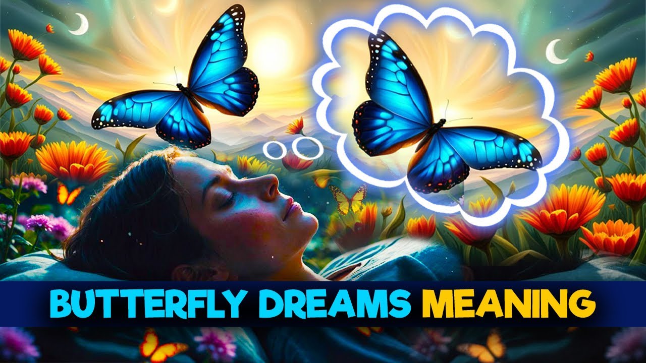 Unlocking the Mystery: Butterfly Dream Symbolism | DREAMS OF BUTTERFLIES INTERPRETATION|