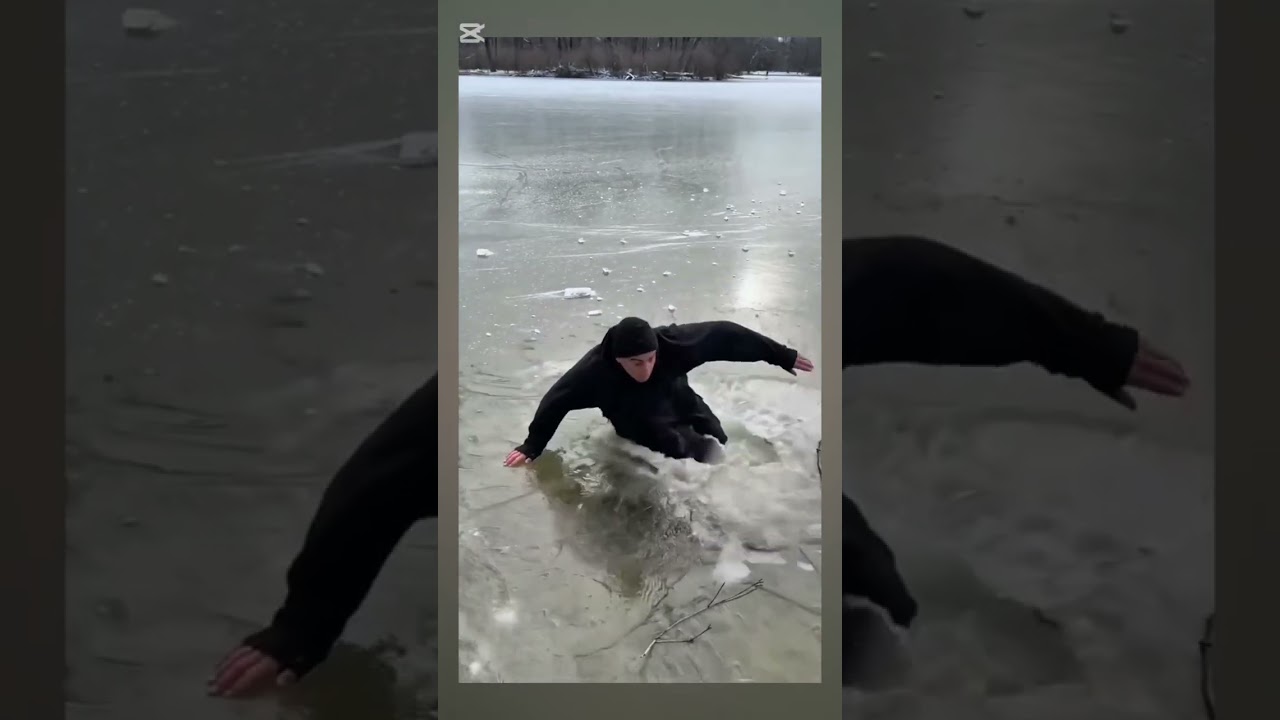 Funny Videos 