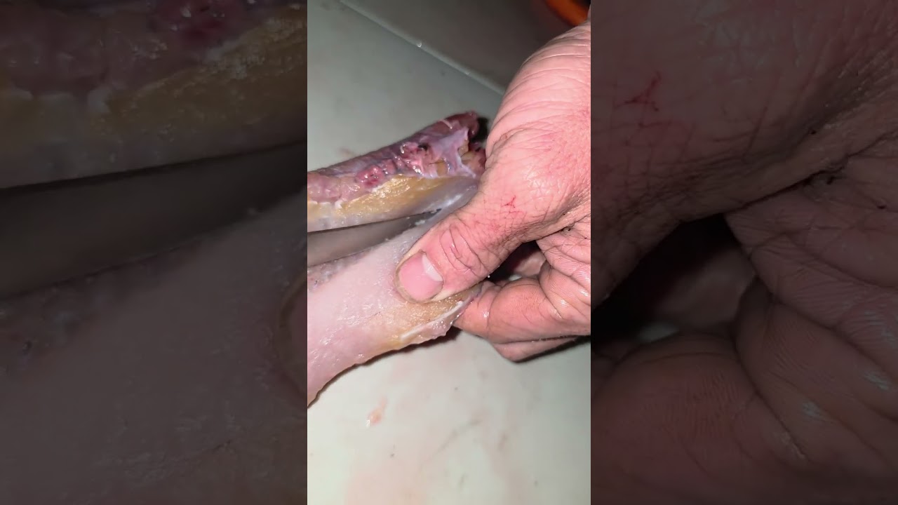 How to FILET a CATFISH 