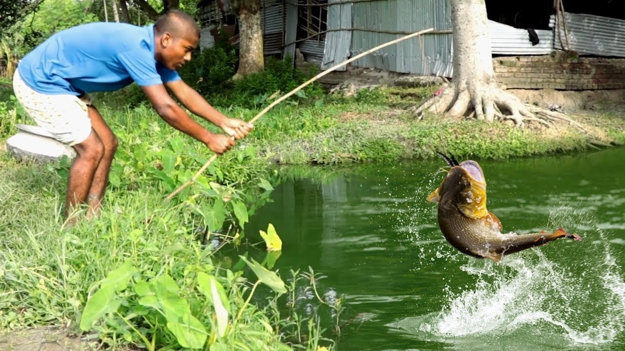 Incredible Fish hunting Live by hook | fishing in village | Organic Food