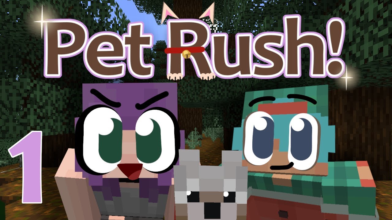 PET RUSH Episode 1! | A NEW LIMITED Minecraft Survival Series with CHAD!