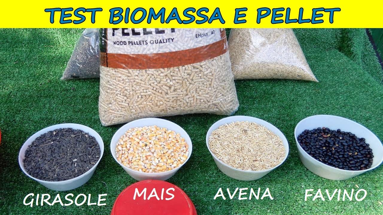Alternative al PELLET? Caldaia alimentata : Girasole, Favino, Mais ed Avena! DA VEDERE!