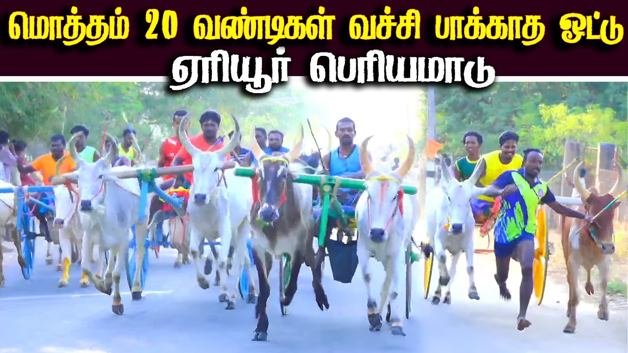 எரியூர் பெரியமாடு பந்தயம் 01.04.2026
